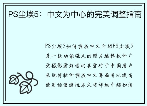 PS尘埃5：中文为中心的完美调整指南
