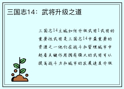 三国志14：武将升级之道
